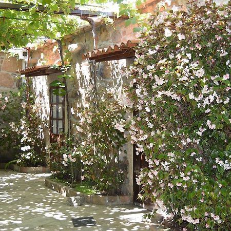 Casa Loureiro Guest House Caldas De Reis Ngoại thất bức ảnh